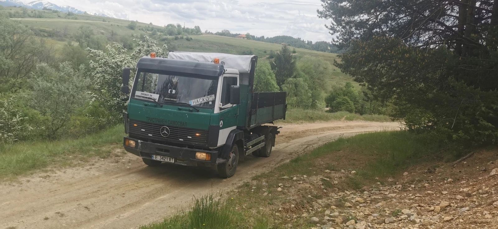 Mercedes-Benz 809, снимка 6 - Камиони - 56679596