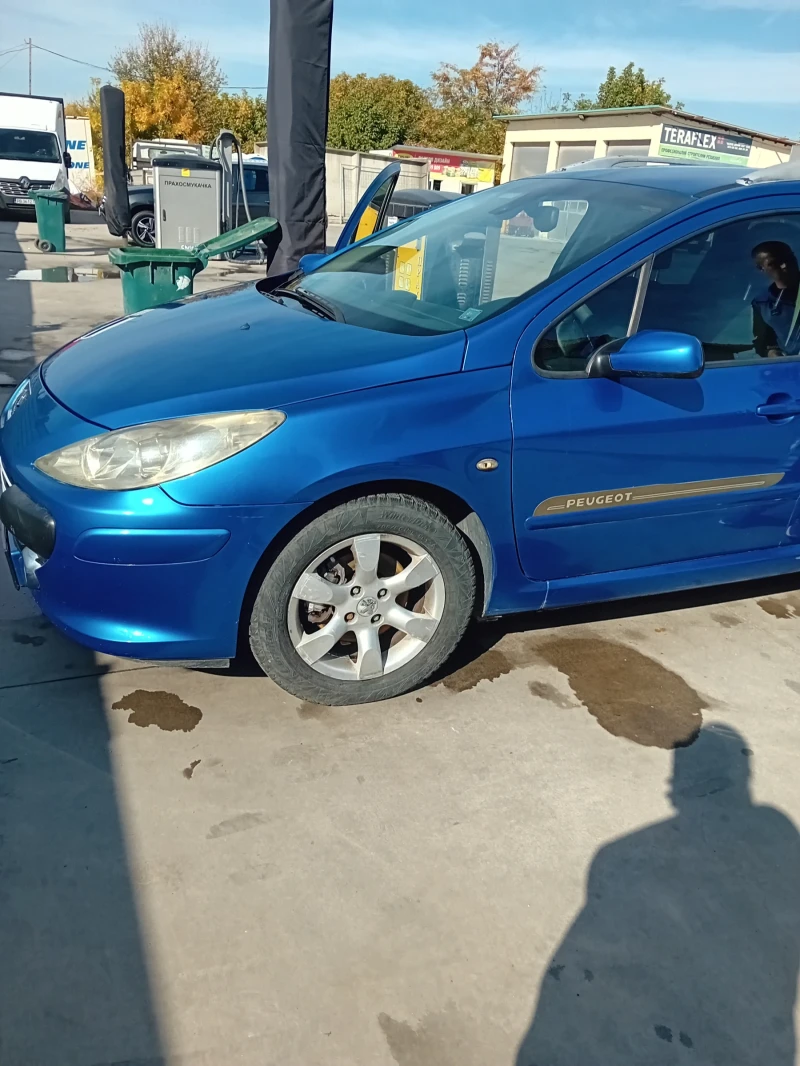 Peugeot 307, снимка 8 - Автомобили и джипове - 47084213