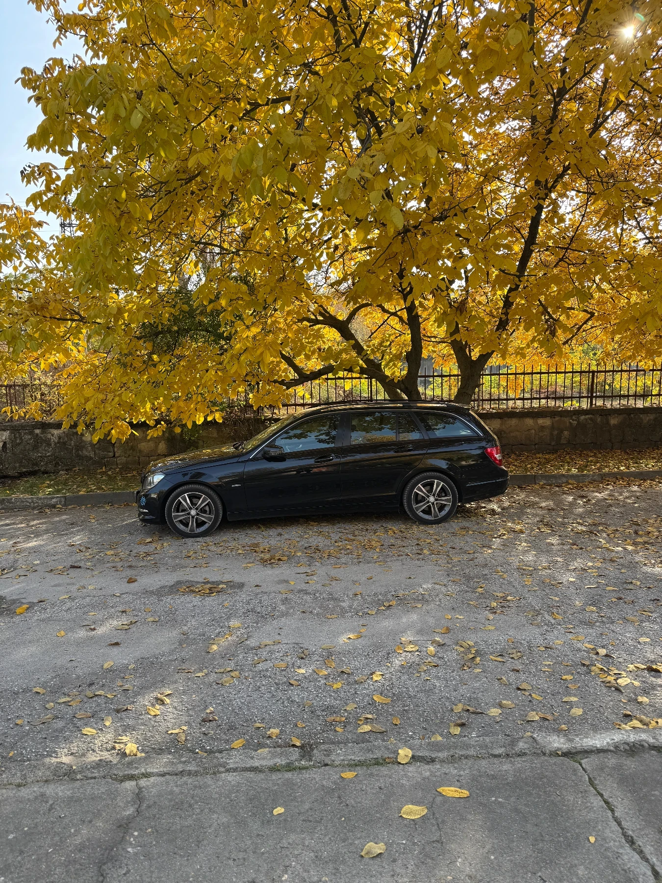 Mercedes-Benz C 250 4Х4 7G, снимка 3 - Автомобили и джипове - 53806508