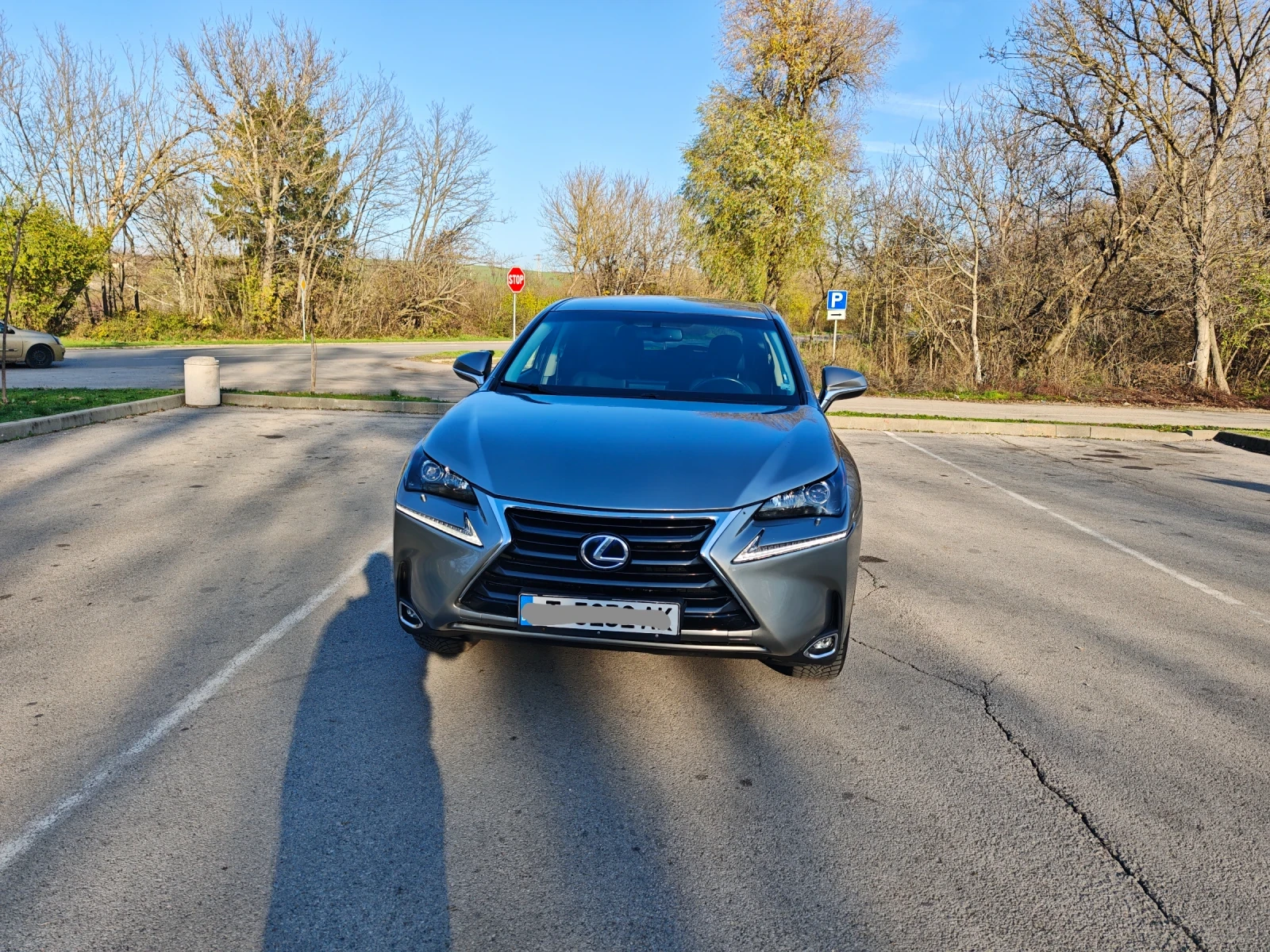 Lexus RX 200t  - изображение 4