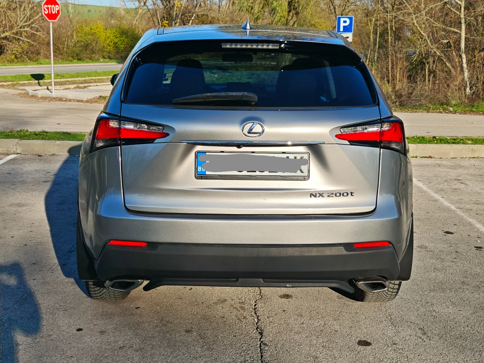 Lexus RX 200t  - изображение 6