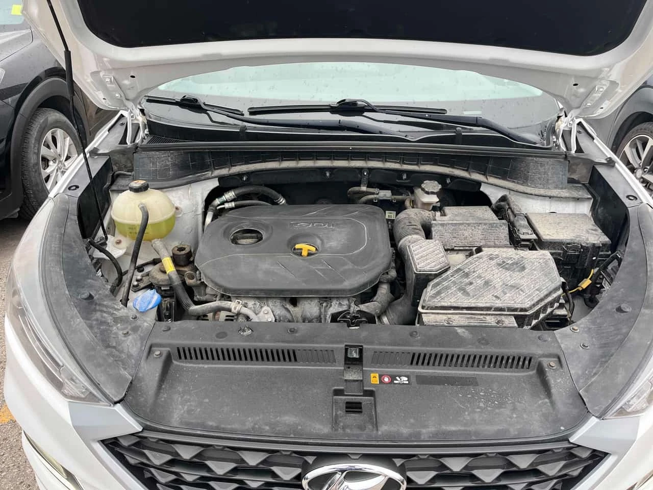 Hyundai Tucson * Essential * CARFAX * ��������� ����������������  | Mobile.bg � ����������� 14