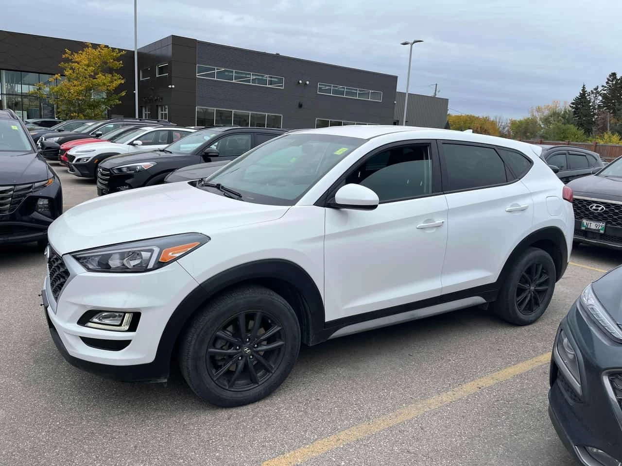 Hyundai Tucson * Essential * CARFAX * ��������� ����������������  | Mobile.bg � ����������� 2