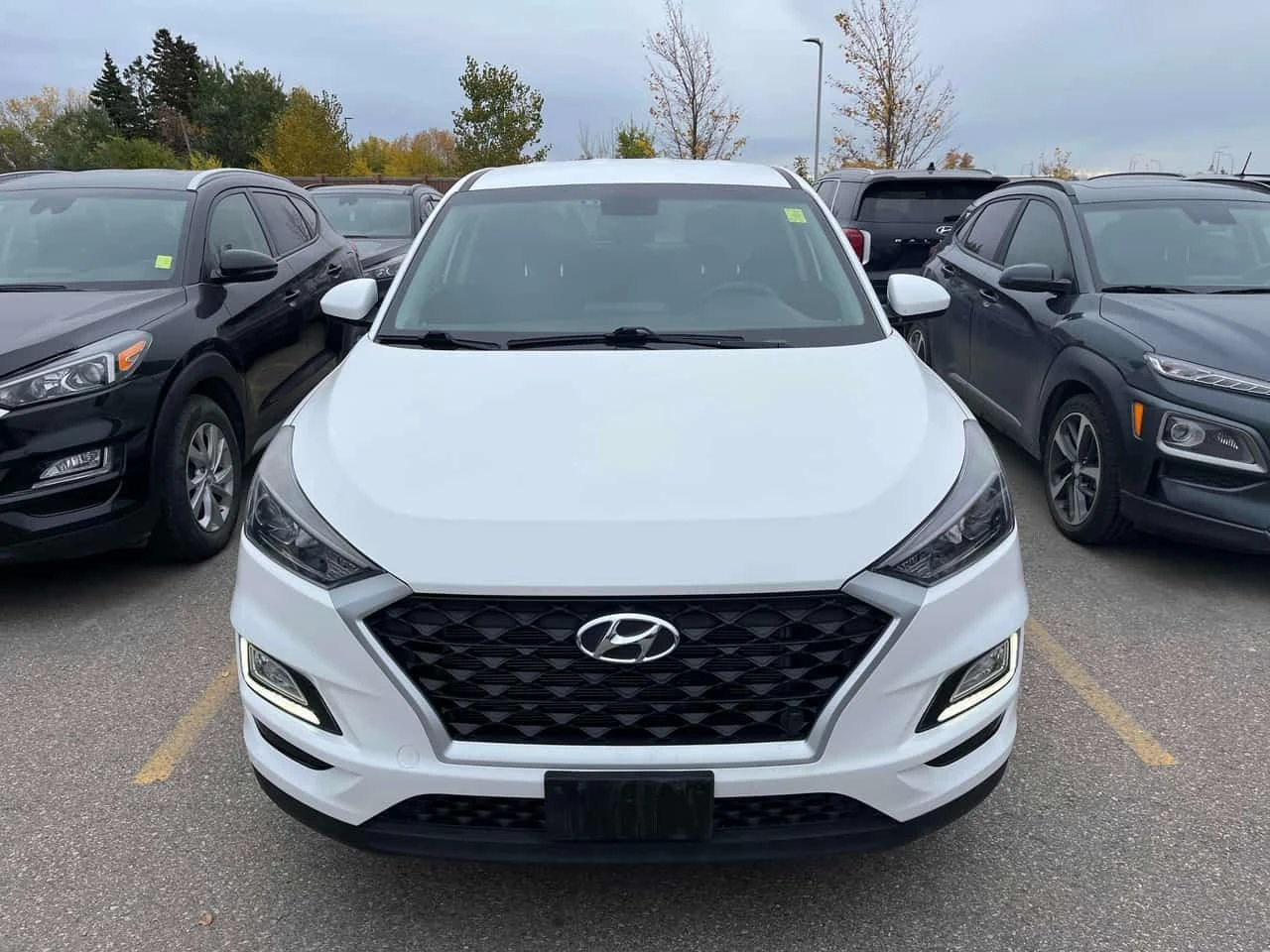 Hyundai Tucson * Essential * CARFAX * ��������� ����������������  | Mobile.bg � ����������� 4