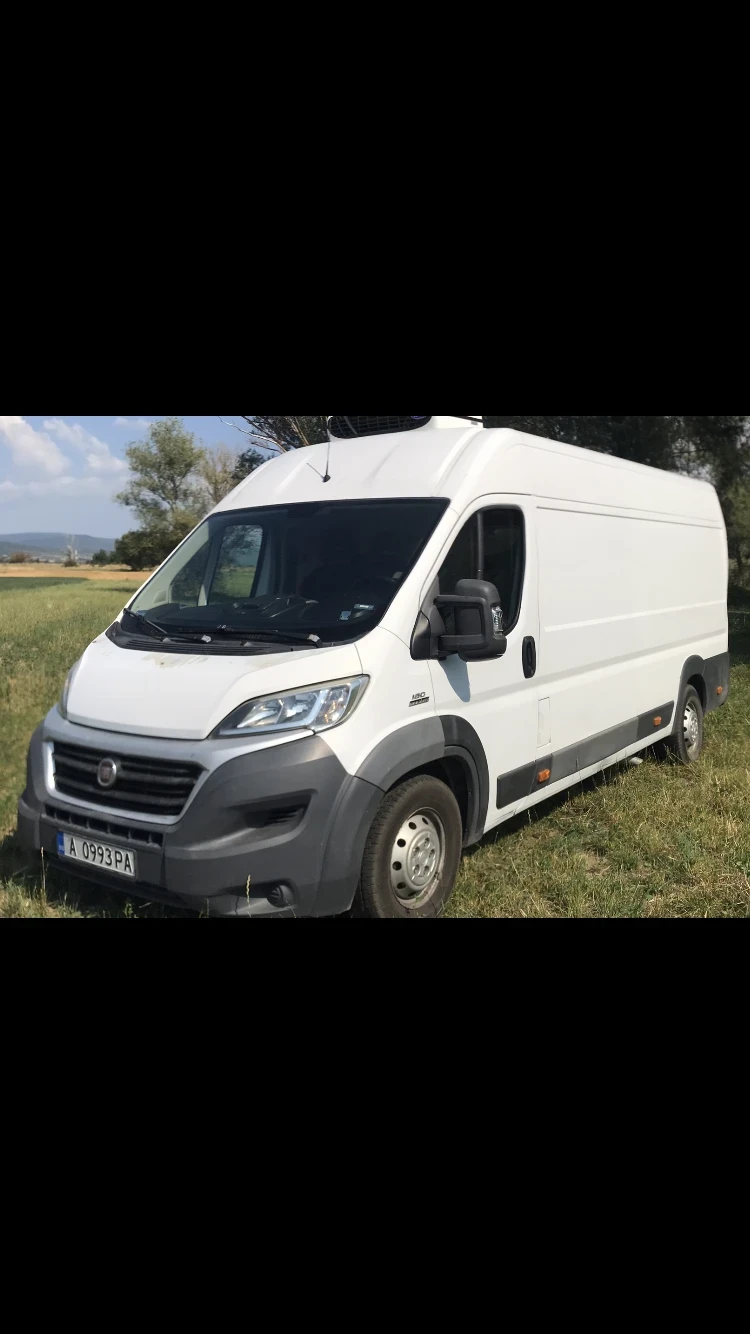 Fiat Ducato Хладилен Бус