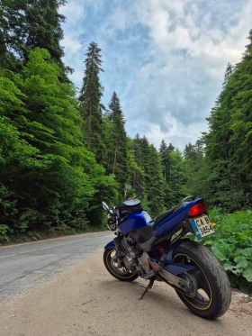Обява за продажба на Honda Hornet Honda CB600F Hornet ~3 800 лв. - изображение 3