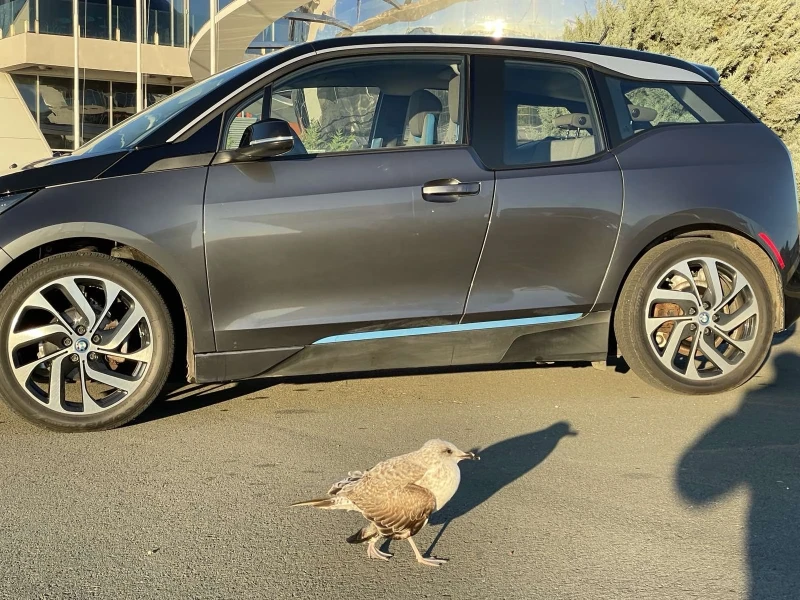 BMW i3 REX Plug in hybrid , снимка 5 - Автомобили и джипове - 52378085