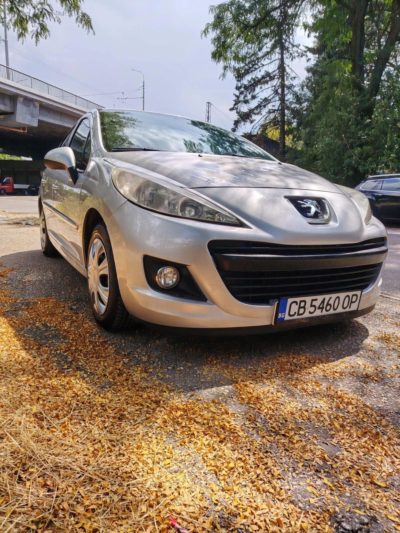 Peugeot 207