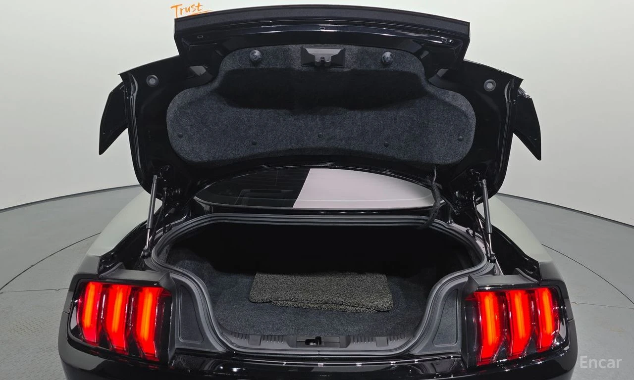 Ford Mustang 2.3* ECO* BOOST* ПОДГРЕВ* КАМЕРА* КЕЙЛЕС, снимка 16 - Автомобили и джипове - 55405273