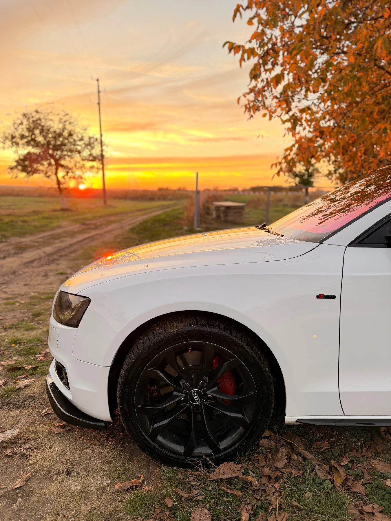Audi A5, снимка 4 - Автомобили и джипове - 56649663