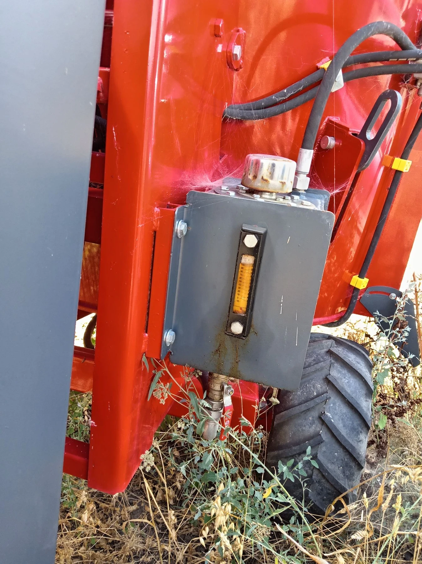 ���� ��� ���� ������� ������  | Mobile.bg � ����������� 6