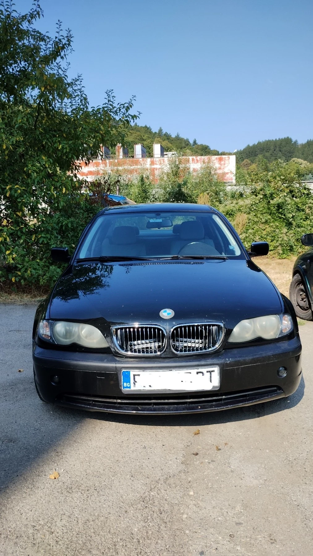 BMW 316 Е46 - изображение 2