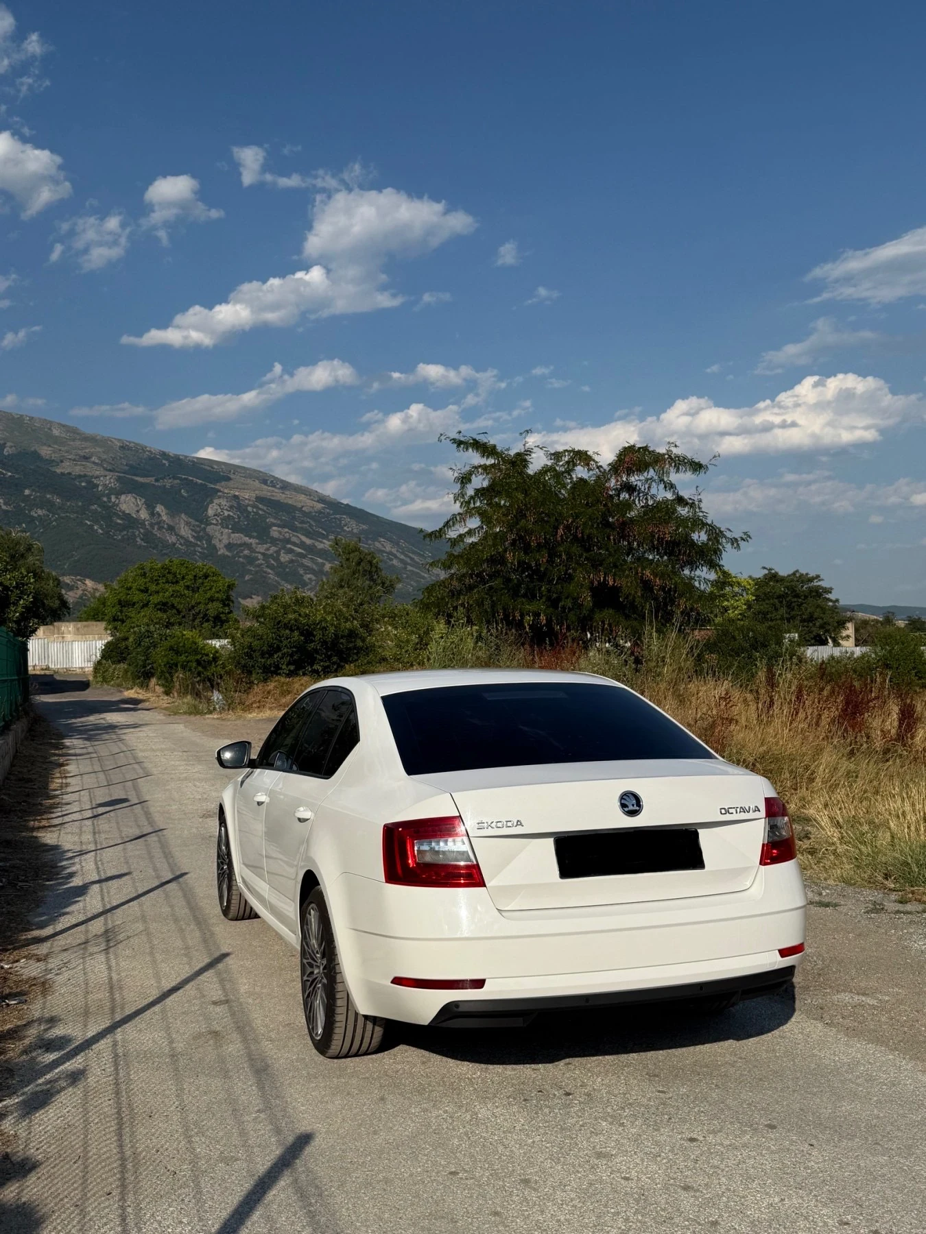 Skoda Octavia 1.6Tdi - изображение 4