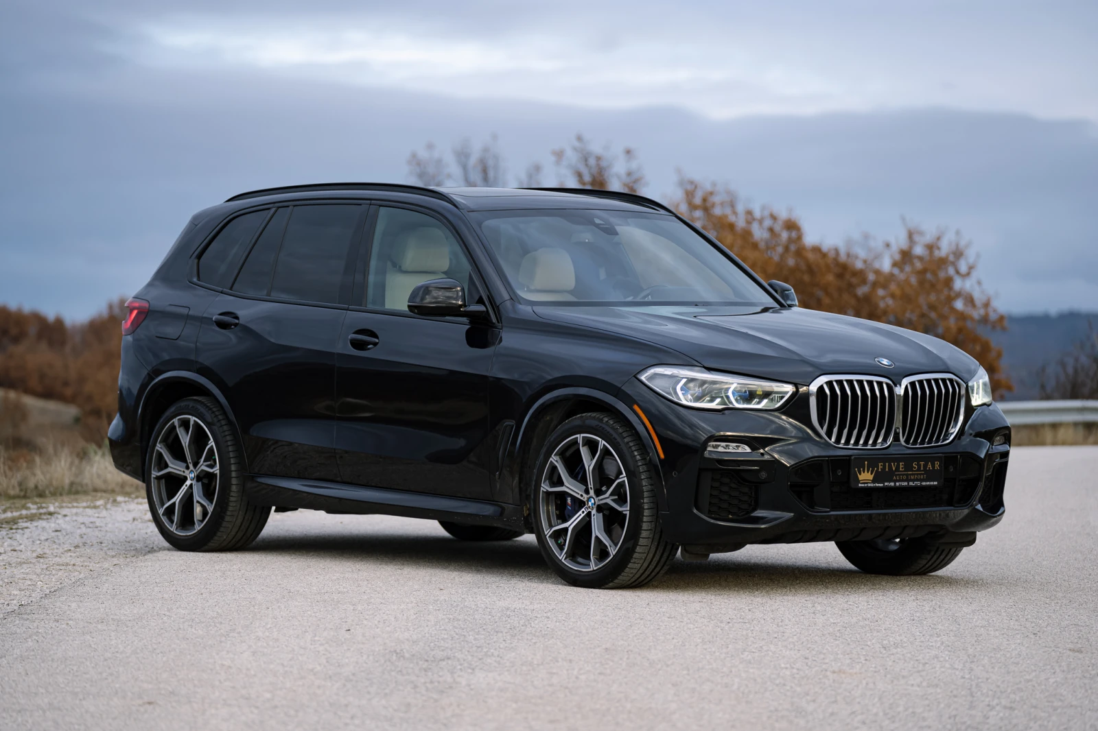 BMW X5 40i/M Pack/Laser/Soft Close - изображение 4