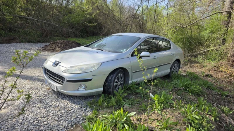 Peugeot 407 2.0 136   , снимка 4 - Автомобили и джипове - 52216448