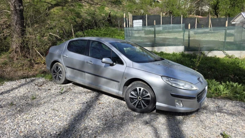 Peugeot 407 2.0 136   , снимка 2 - Автомобили и джипове - 52216448