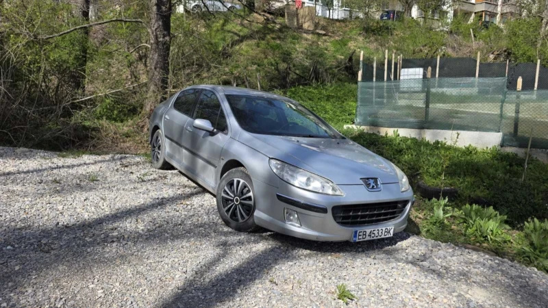 Peugeot 407 2.0 136   