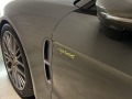 Porsche Panamera 4 E-Hybrid Platinum Edition - изображение 6