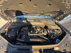 Mercedes-Benz ML 250 * TOP*  - 26500 лв. / 13549.23 € - 83003207 16