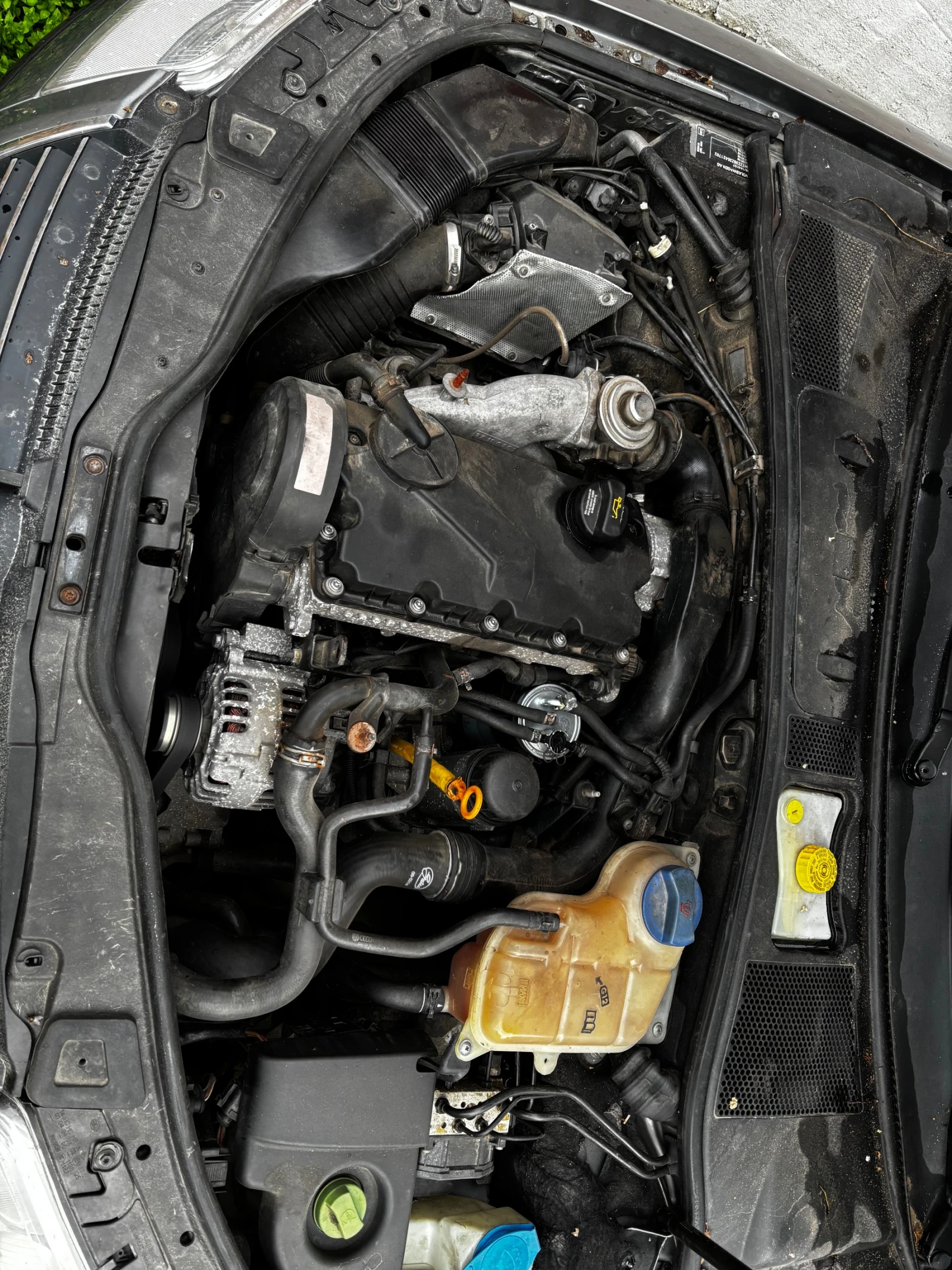 VW Passat B5.5, снимка 7 - Автомобили и джипове - 54008491