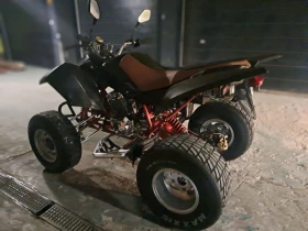 Aeon Cobra 320, снимка 8