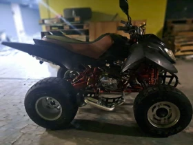 Aeon Cobra 320, снимка 5