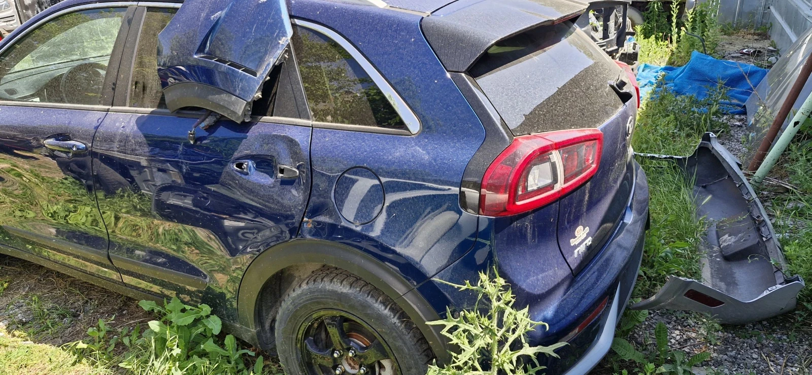Kia Niro  - изображение 3