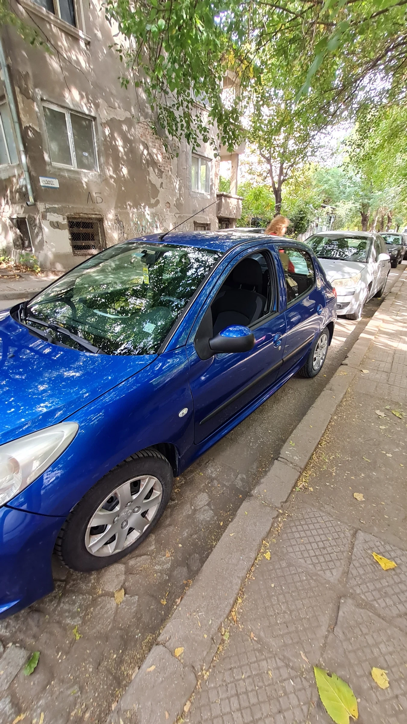 Peugeot 206 Плюс - изображение 5
