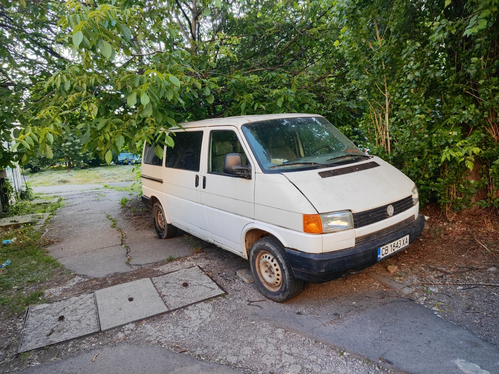 VW T4