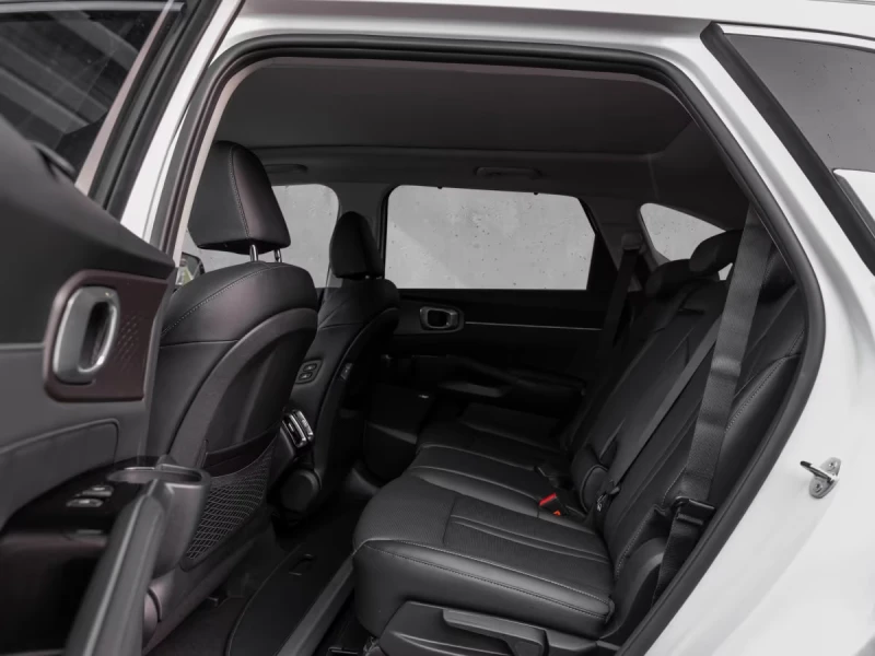 Kia Sorento 1.6PHEV/SPIRIT/252HP/360CAM/AMBI/KLESS/LED/594f, снимка 16 - Автомобили и джипове - 51374369