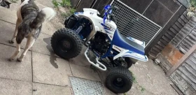 ����� �� �������� �� Yamaha Booster