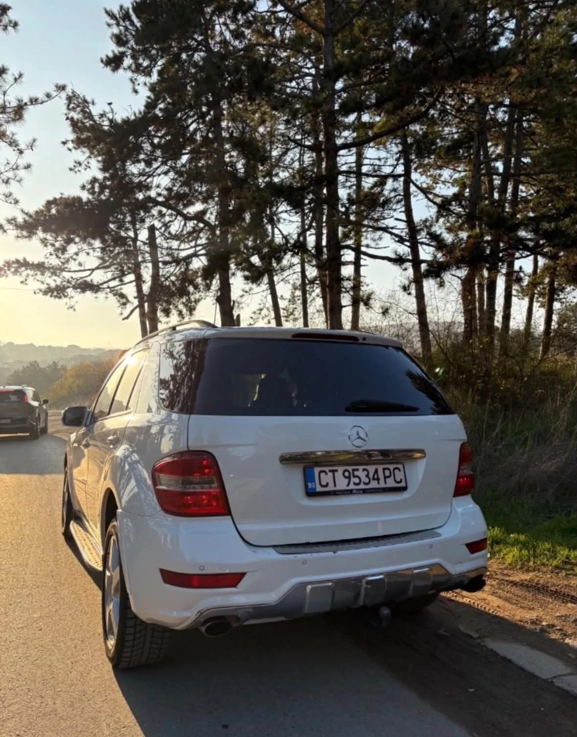 Mercedes-Benz ML 320, снимка 4 - Автомобили и джипове - 56334759
