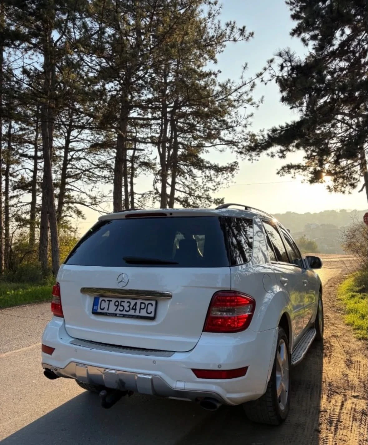 Mercedes-Benz ML 320, снимка 3 - Автомобили и джипове - 56334759