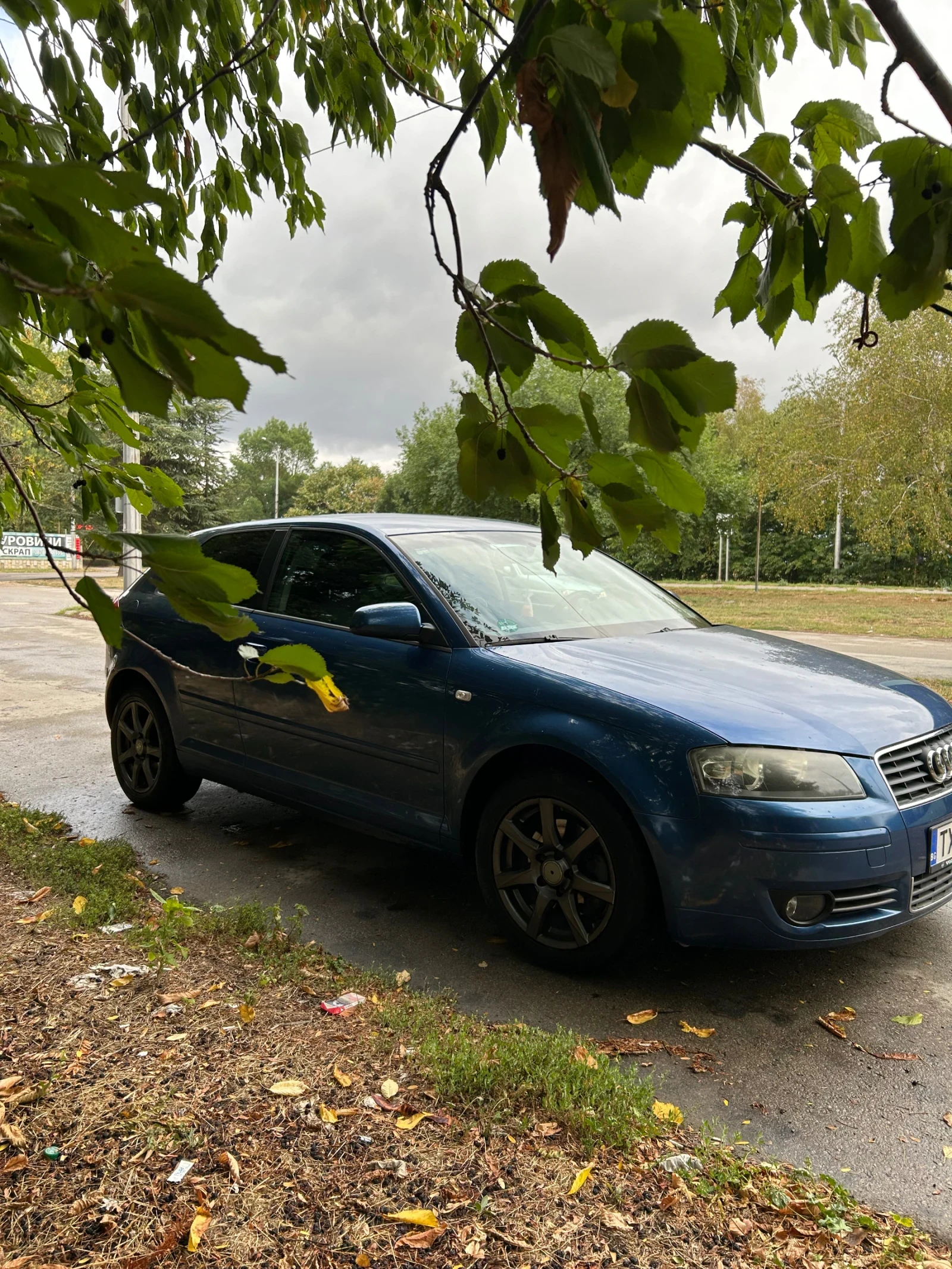 Audi A3 1.6 - изображение 3