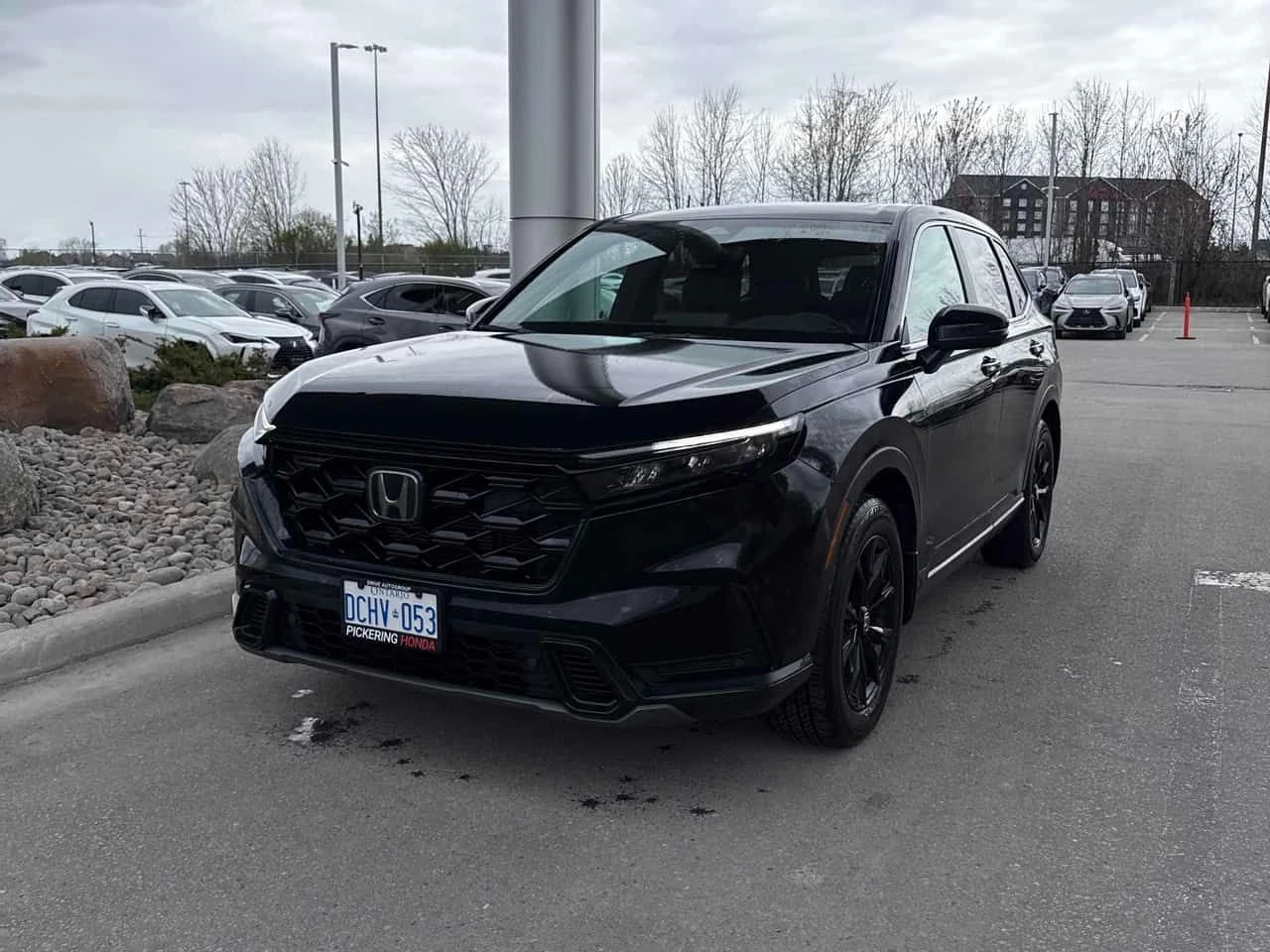 Honda Cr-v EX L  CARFAX