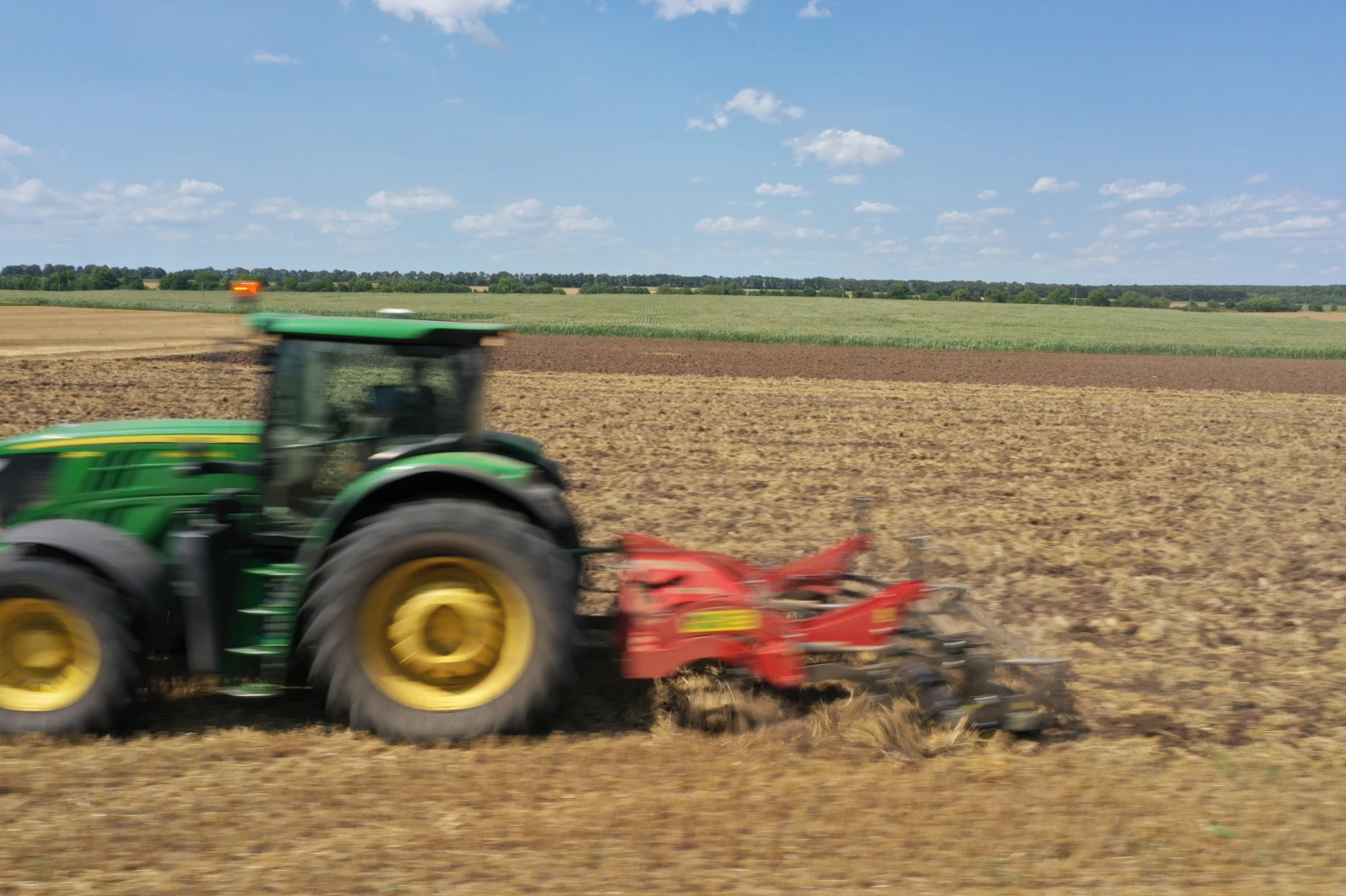  Volgarino Falcone | Mobile.bg   11