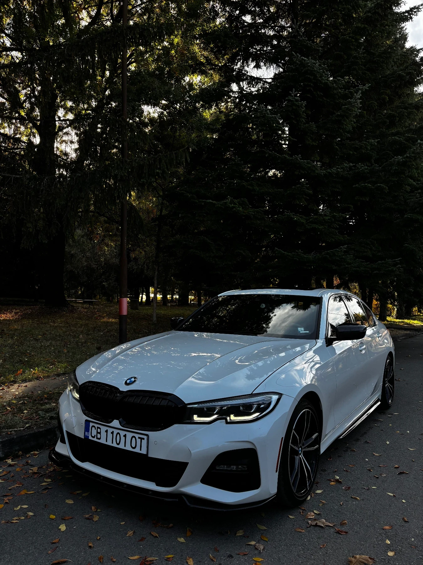 BMW 330