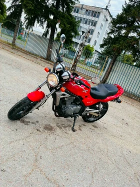 Kawasaki ER ER-5, снимка 5