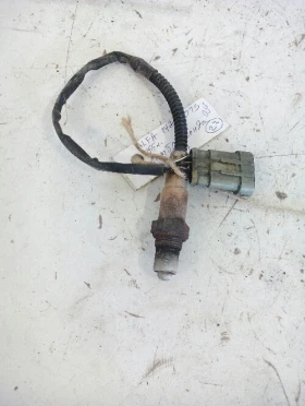 ������ ������� ������� ����...