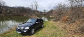 Mercedes-Benz ML 270, снимка 10