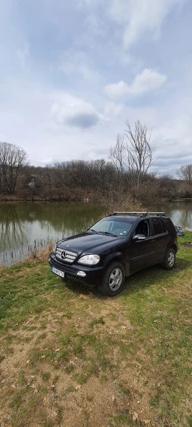 Mercedes-Benz ML 270, снимка 11