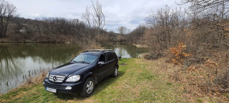 Mercedes-Benz ML 270, снимка 10 - Автомобили и джипове - 47786183