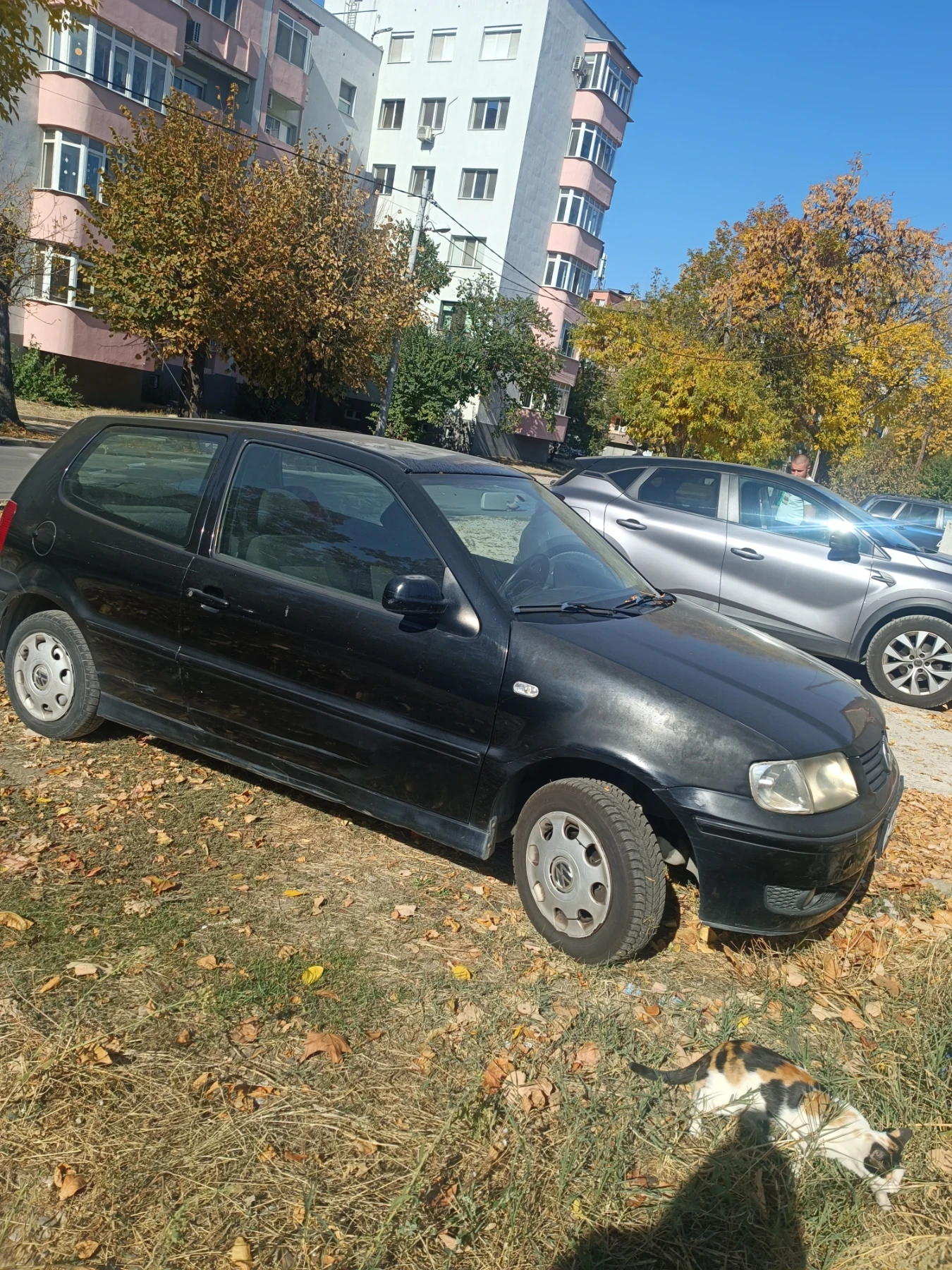 VW Polo .  - изображение 4