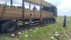 Iveco Stralis Влекач , снимка 2