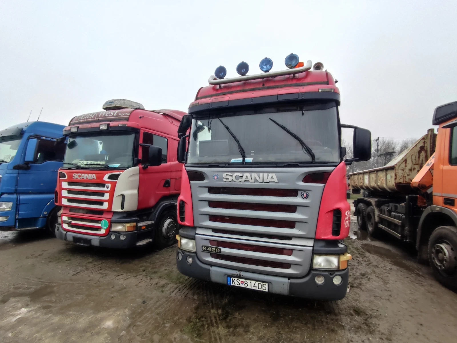 Scania R 420 | Mobile.bg � ����������� 7