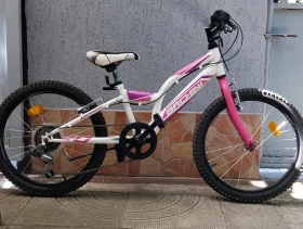     Archini GAMMA 20