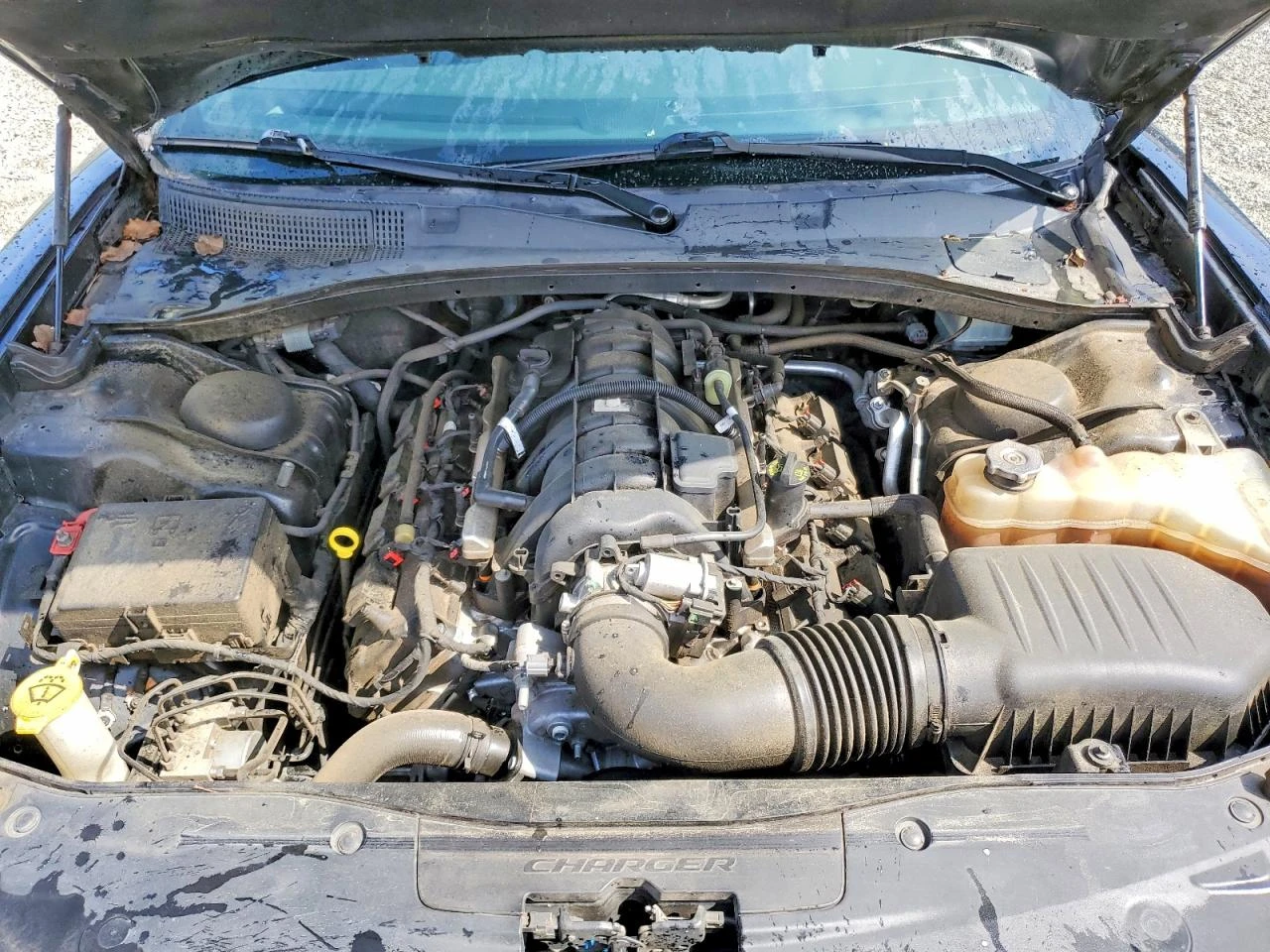 Dodge Charger 5.7l R/T * CARFAX* ������ ���������* ������ ����*  | Mobile.bg � ����������� 11