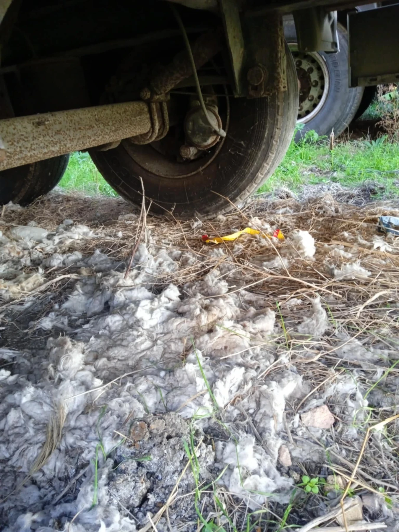  Koegel Shwarzmuller kioegel  | Mobile.bg   5