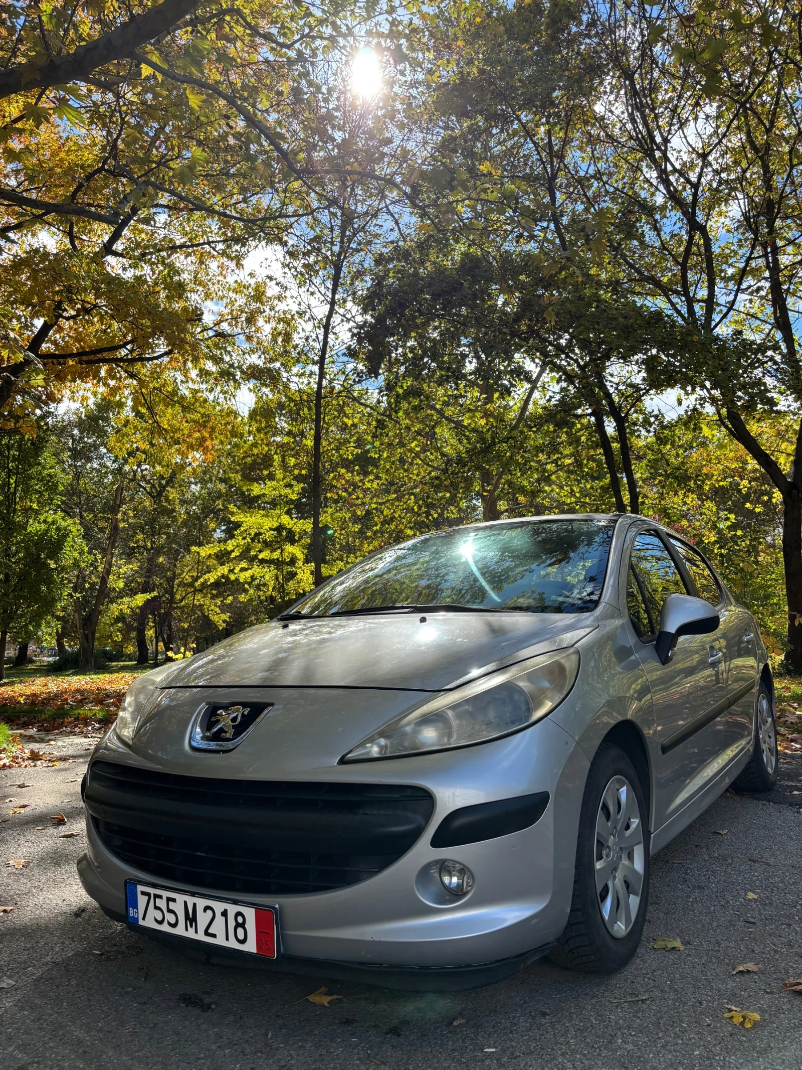 Peugeot 207, снимка 1