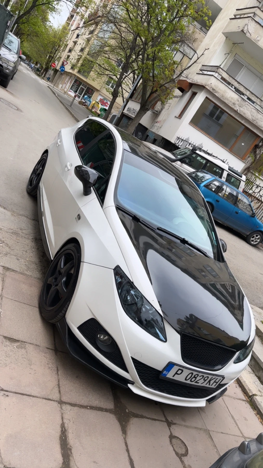 Seat Ibiza  - изображение 3